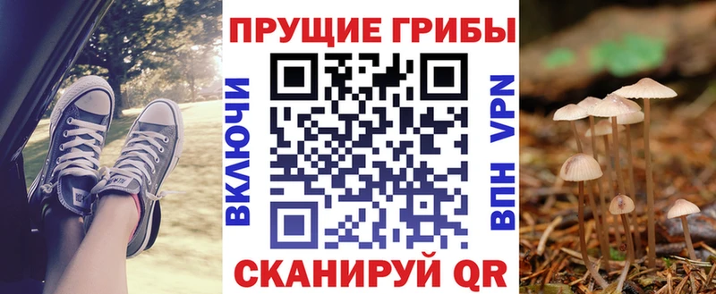 Купить закладки  Купино  Псилоцибиновые грибы MAGIC MUSHROOMS 